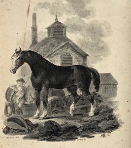 Um cavalo de tração parado em frente da tração com o condutor da tração de Julius Caesar Ibbetson
