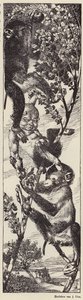 Macacos a apanhar fruta numa árvore (litografia) de Julius Diez