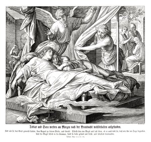 Tobias e Sarah são encontrados a salvo, Livro de Tobit