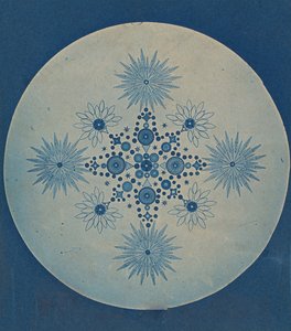 [Frústulas de Diatomáceas], ca. 1870. de Julius Wiesner.