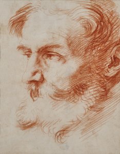 Cabeça de homem barbudo de Jusepe de Ribera
