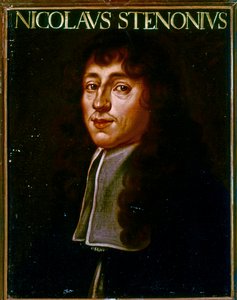 Retrato de Nicolas Steno (óleo)