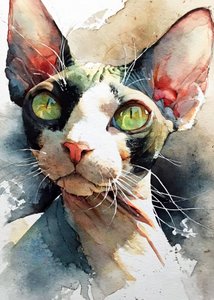 Um Sphynx cativante de olhos verdes de Justyna Jaszke