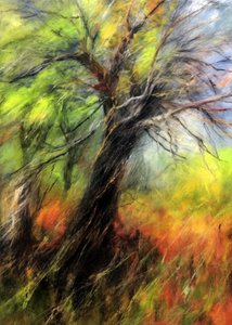 Árvore outonal colorida de Justyna Jaszke