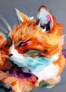 Gato a dormir, cheio de vida de Justyna Jaszke