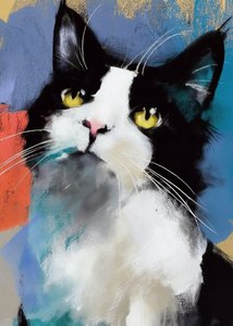 Gato Tuxedo Vibrante de Justyna Jaszke