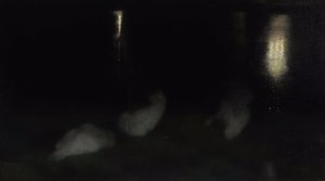 Noturno. Cisnes no Jardim Saxão em Varsóvia à noite