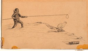 Pesca do galo silvestre com vara longa e laço