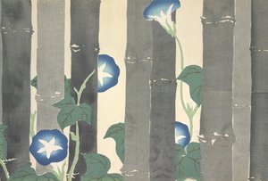 Asagao, de Momoyo-gusa