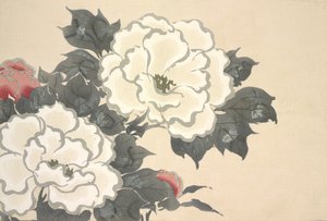 Fukami-Gusa, de Momoyo-gusa (O Mundo das Coisas) Vol I, pub.1909 (bloco de cor xilogravura)