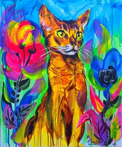 Gato-da-selva colorido