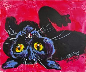 Gato preto curioso