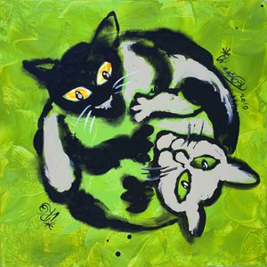 Gatos Yin Yang brincalhões