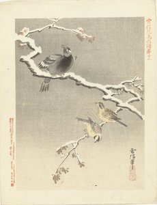 Três pássaros no galho nevado Esboços de flores e pássaros por Kano Tsunenobu (título da série) Kano Tsunenobu kacho gafu (título da série no objeto)