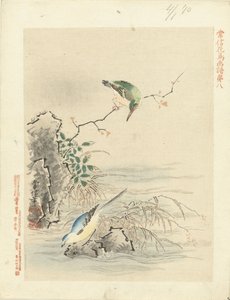 Martim-pescador olhando o pássaro pela água Esboços de flores e pássaros por Kano Tsunenobu (título da série) Kano Tsunenobu kacho gafu (título da série no objeto)