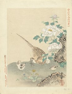 codorna com pintinhos Esboços de flores e pássaros por Kano Tsunenobu (título da série) Kano Tsunenobu kacho gafu (título da série no objeto) de Kano Tsunenobu