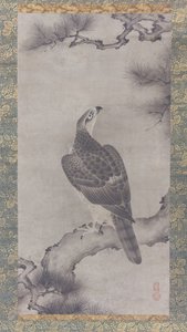 Hawk em um Pine Shoo zu, século XVI. de Kano Yukinobu