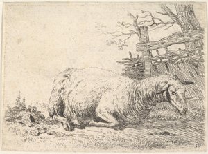 Uma ovelha deitada com as pernas dobradas sob o corpo, ao lado de uma cerca de madeira, ela ..., ca. 1655