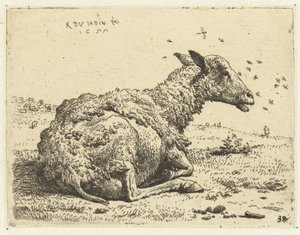 Ovelhas de ovelha com moscas de Karel Du Jardin