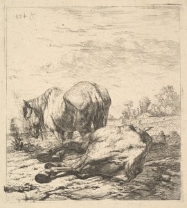 Os dois cavalos, século XVII.