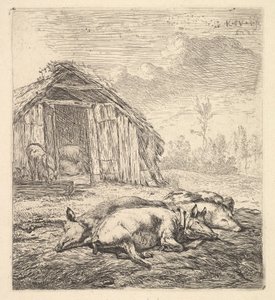 Três porcos deitados de lado, um chiqueiro e uma calha além, 1652.
