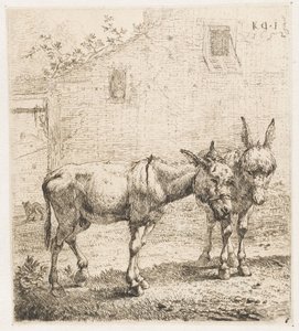 Dois burros
Animais (título da série)