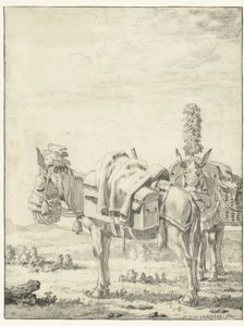 Duas mulas de Karel Du Jardin