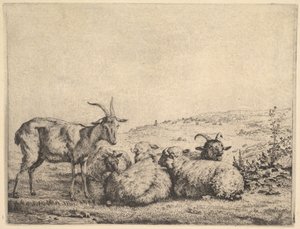 Duas cabras e três ovelhas, 1655.