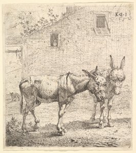 Dois burros em pé em um quintal gramado, um na vista de perfil voltado para a direita e outro para trás ..., 1652.