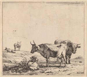 Vaca, Touro e Bezerro