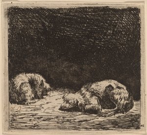 Cão e gato de Karel Dujardin