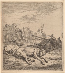 Cães de caça de Karel Dujardin