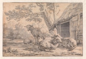 Ovelhas junto a um celeiro de Karel Dujardin