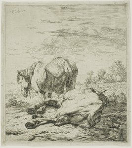 Dois cavalos de Karel Dujardin