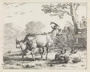 Quatro cabras de Karel Dujardin