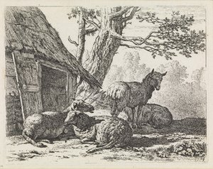 Quatro ovelhas de Karel Dujardin