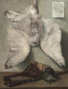 Coruja das neves de Karel Purkyne