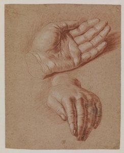 Estudos de duas mãos.