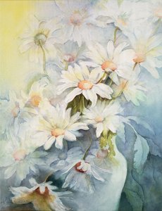 Crisântemo, Snowcap de Karen Armitage