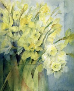 Narcisos, tio Remis e loucuras de gelo