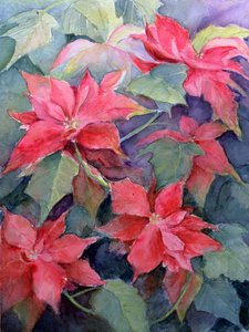 Poinsétia de Karen Armitage