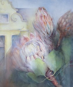 Protea em Stellenbosch, 1992 (wc) de Karen Armitage