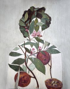 Ilustração botânica com laranjas de Karenina Fabrizzi