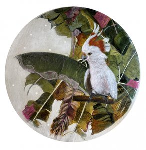 Cacatua branca na selva