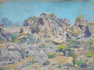 Formações rochosas do deserto
