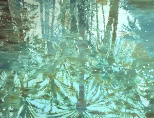 Reflexão na Floresta de Inverno de Karin Bos