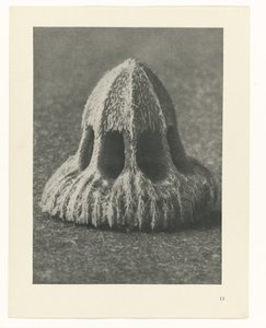 Estudos de plantas Arquétipos de arte: imagens fotográficas de plantas (título da série) de Karl Blossfeldt