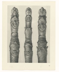 Estudo das plantas
Arquétipos de Arte (título da série) de Karl Blossfeldt