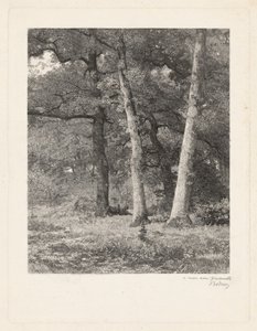 Uma Clareira Florestal de Karl Bodmer