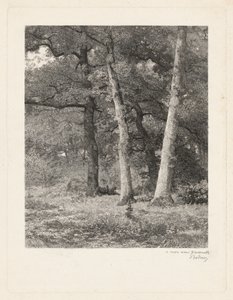 Uma clareira na floresta de Karl Bodmer